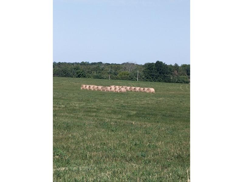 20 - 4x4 Baled by John Deere Round Baler, 2024 1st Cut Hay  - No Rain When Baled