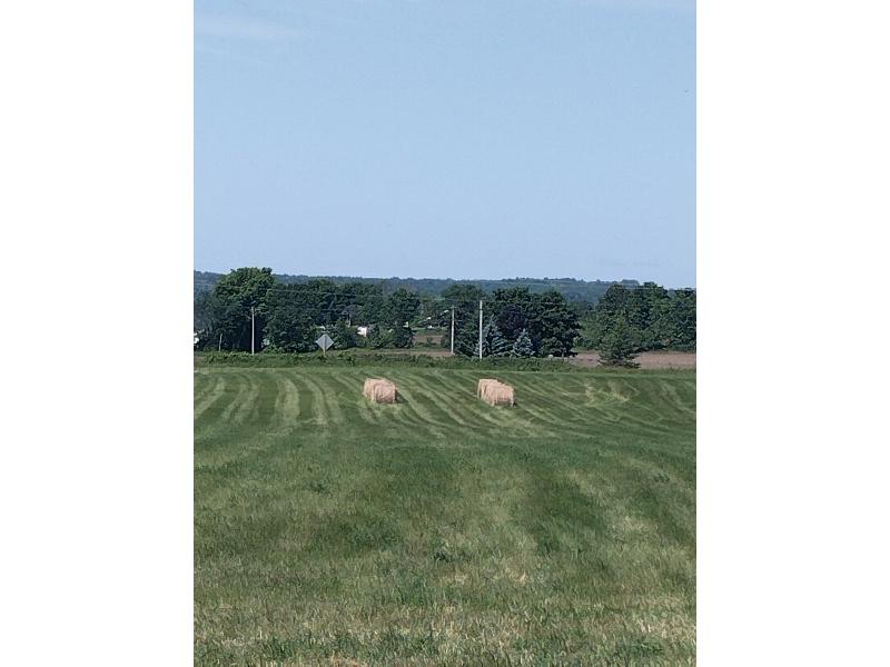 20 - 4x4 Baled by John Deere Round Baler, 2024 1st Cut Hay  - No Rain When Baled