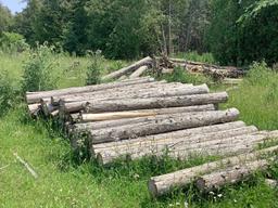 50 - 8' Cedar Posts