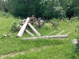 50 - 8' Cedar Posts