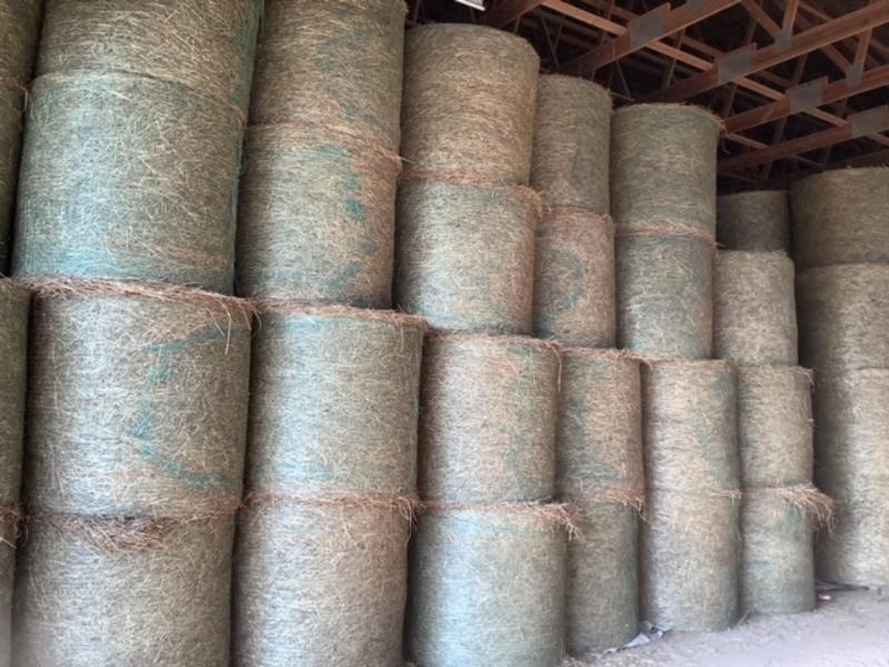 20 - 4x4 Bales of First Cut Hay