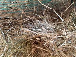 20 - 4x4 Bales of First Cut Hay