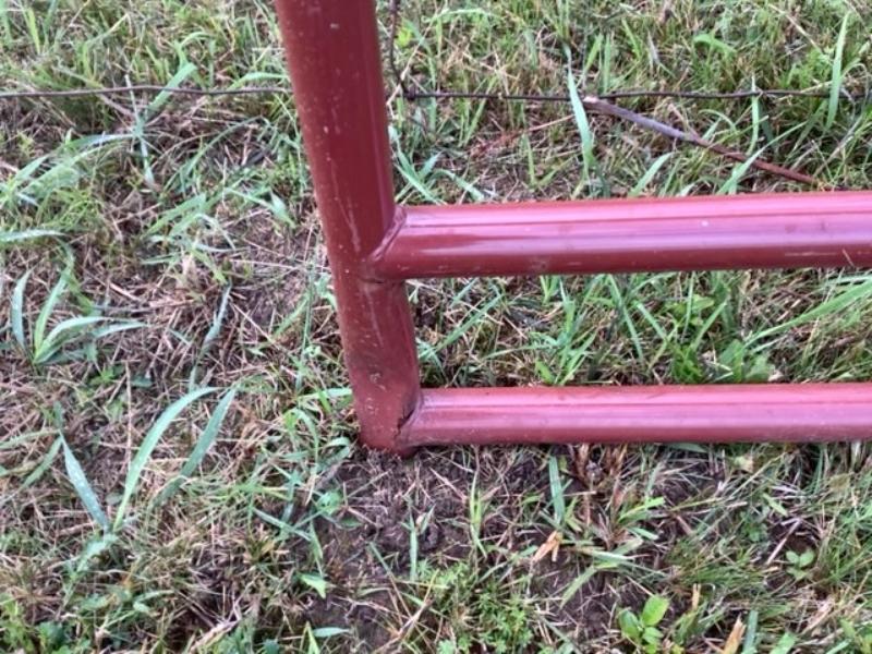 New True North 6'x48" 6 Bar Gate