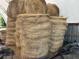 22 Hard Core Round Bales of Hay