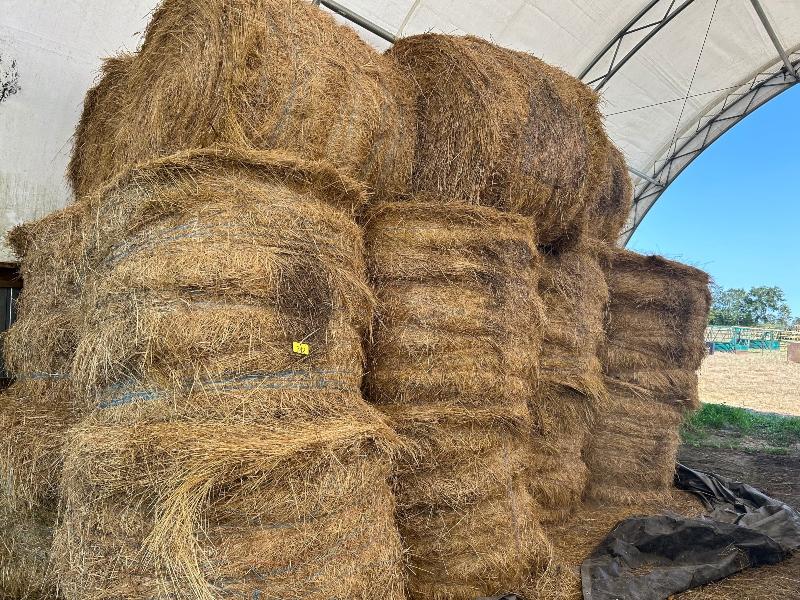 22 Hard Core Round Bales of Hay