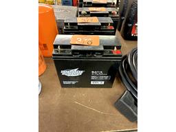 Interstate Battery