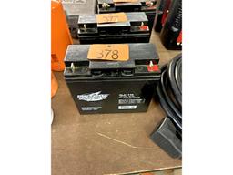 Interstate Battery
