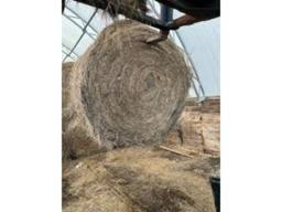 10 Round Bales 2024 4x5 Hardcore Bales