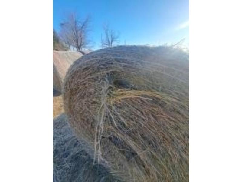 10  Hay Bales - 4x5 Net Wrapped 2024 Hay - Some Rain, Stored Outside