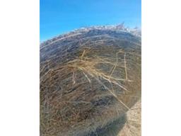 10  Hay Bales - 4x5 Net Wrapped 2024 Hay - Some Rain, Stored Outside