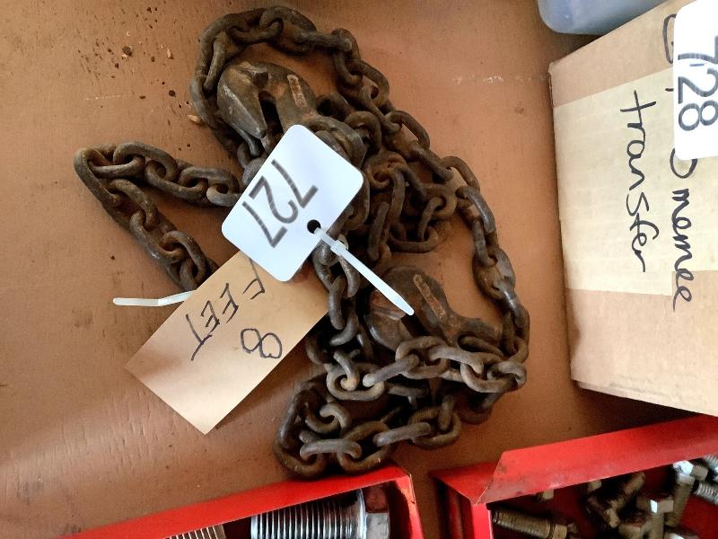 8' Chain 2 Hooks