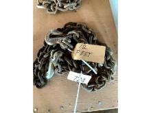 12' Chain 2 Hooks