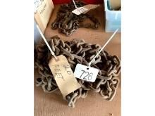 20' Chain 2 Hooks