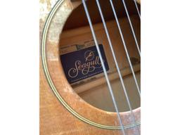 Seagull Guitar & Case