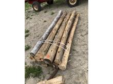 10 Cedar Posts