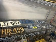 Shelf of License Plates