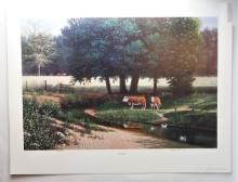 Douglas Cave Limited Edition "Cool Shade" Pastoral Cow Print