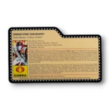 GI Joe Cobra Viper 2009 Crimson Strike Team JoeCon Convention Exclusive FileCard