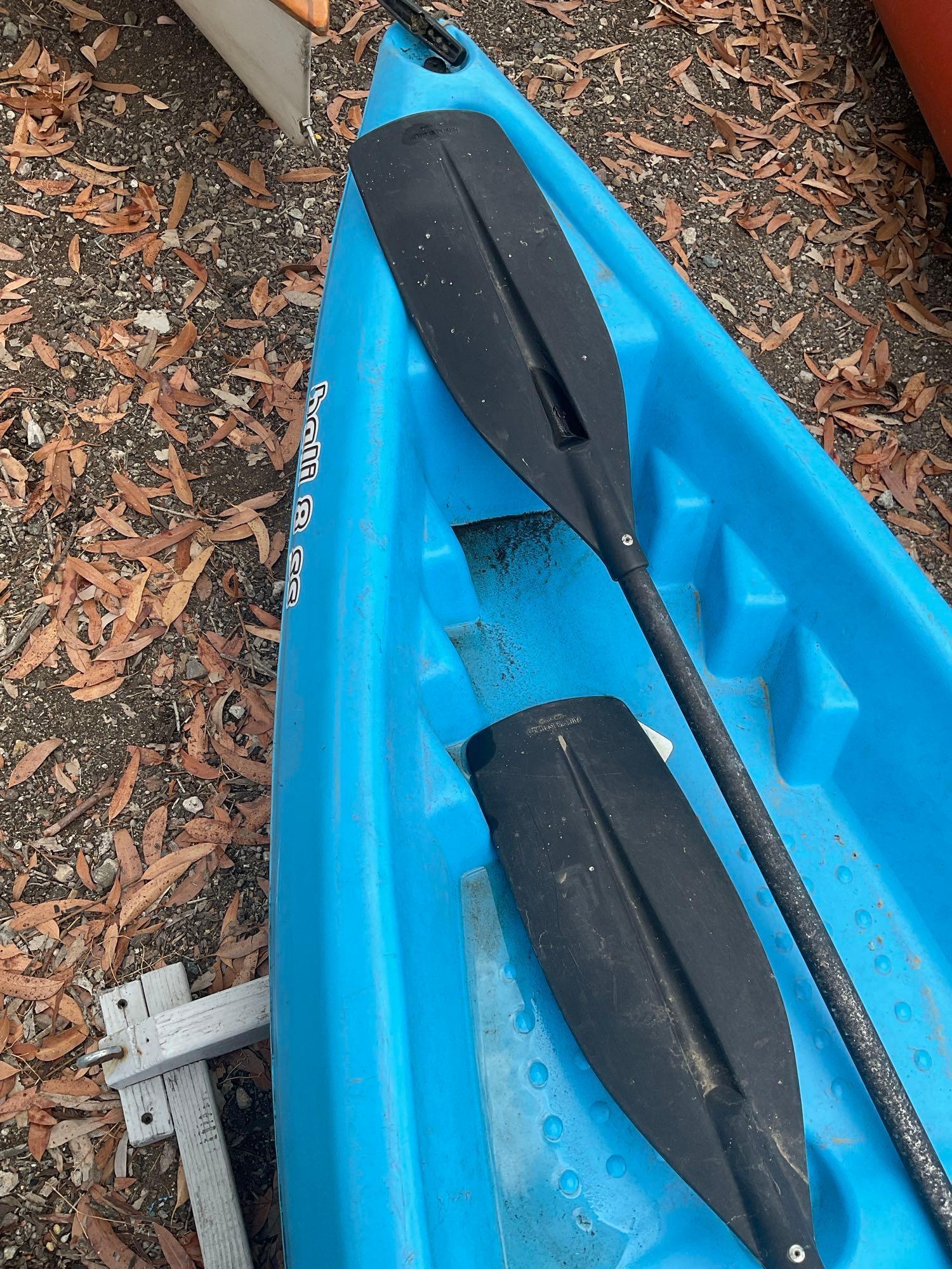 Sundolphin Bali 8SS