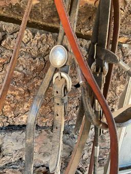 Bridle