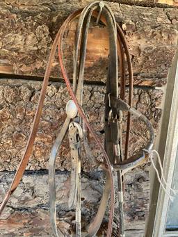 Bridle