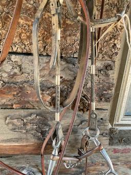 Bridle