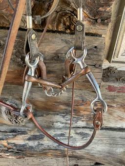 Bridle