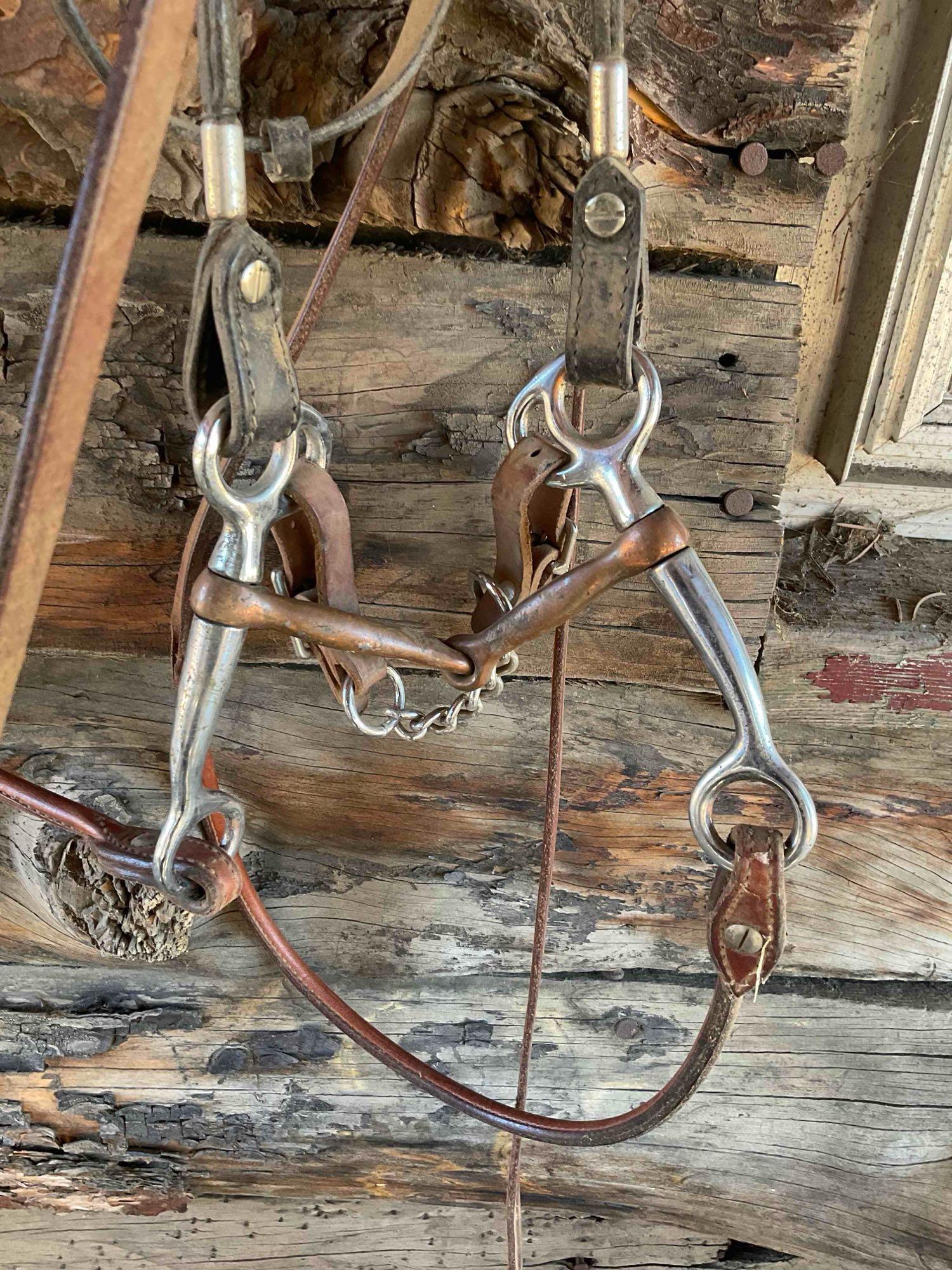 Bridle
