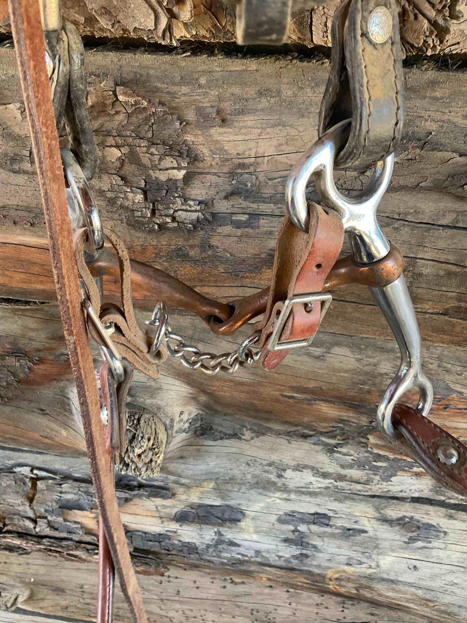 Bridle