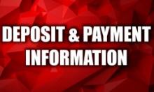 ***Payment information**DO NOT BID ON THIS ITEM**