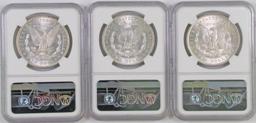 Lot of (3) 1896 P Morgan Silver Dollars all (NGC) MS63.