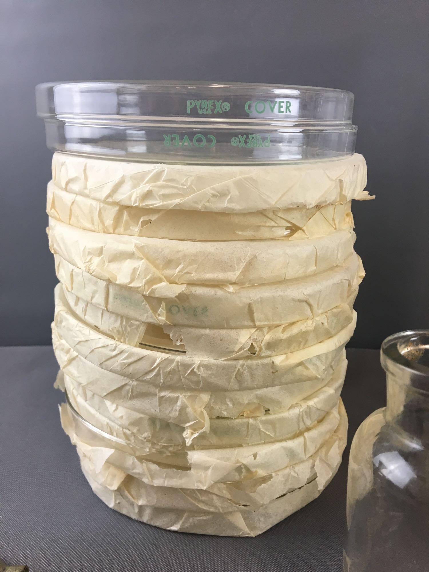 Group of Pyrex Beakers, Test tubes, Pyrex Covers and more