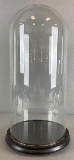 Glass Dome Cloche with Wood Base