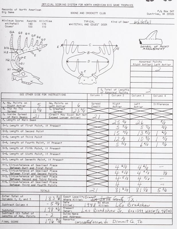 Massive Texas White Tail Deer, chest mount taken by Leo's Dad in Dimmit County, 1948.  Copy of Offic