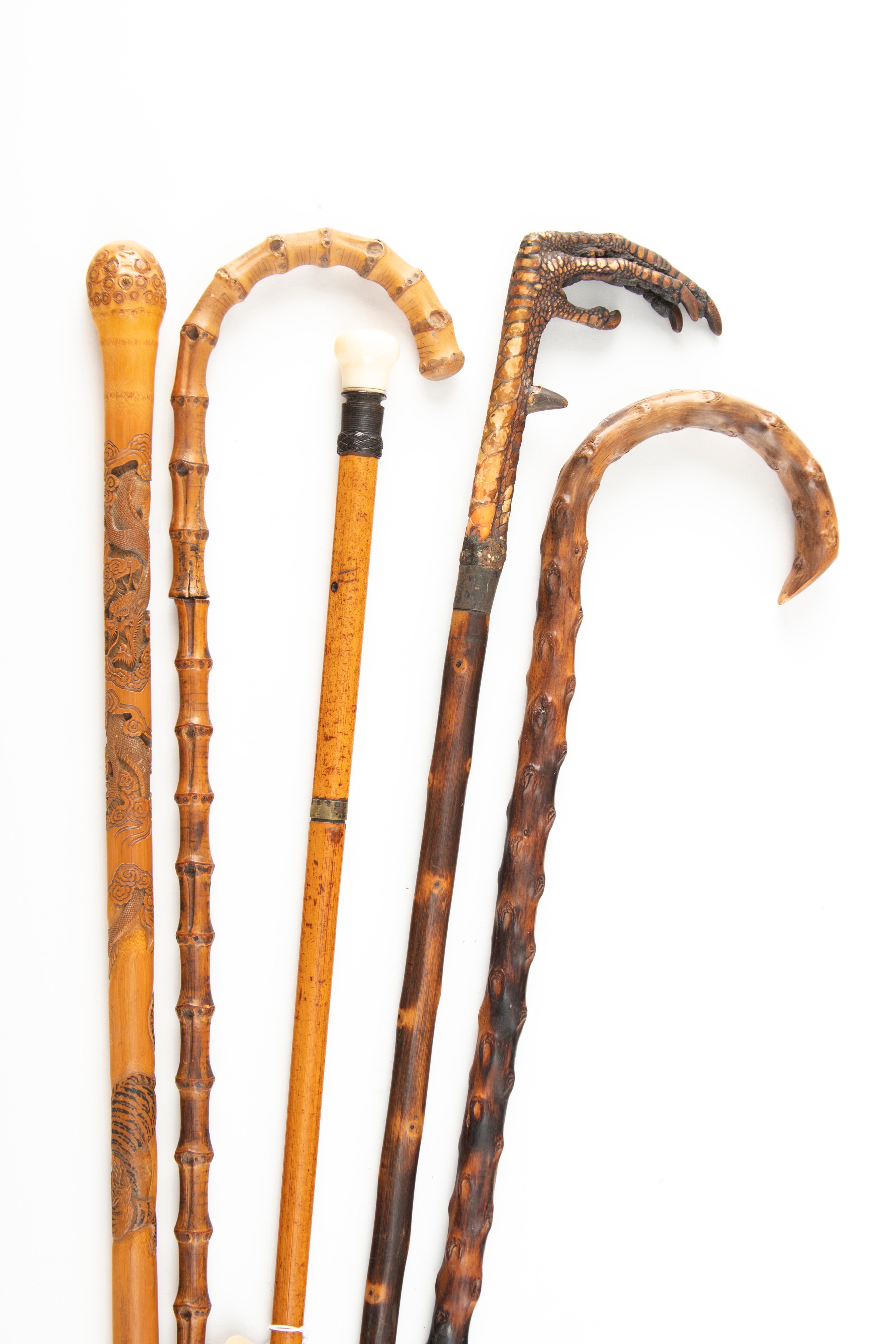 Collection of five antique Walking Sticks (2) and Canes (3). One has a Turkey Foot handle. They meas