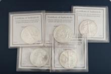 THIS LOT WILL BE SOLD FIVE (5) TIMES THE BID, MEANING YOUR FINAL BID WILL BE MULTIPLIED 5 TIMES: A c