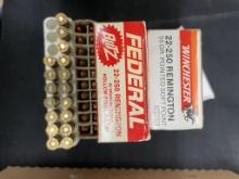 ASSORTED 22-250 REM AMMO