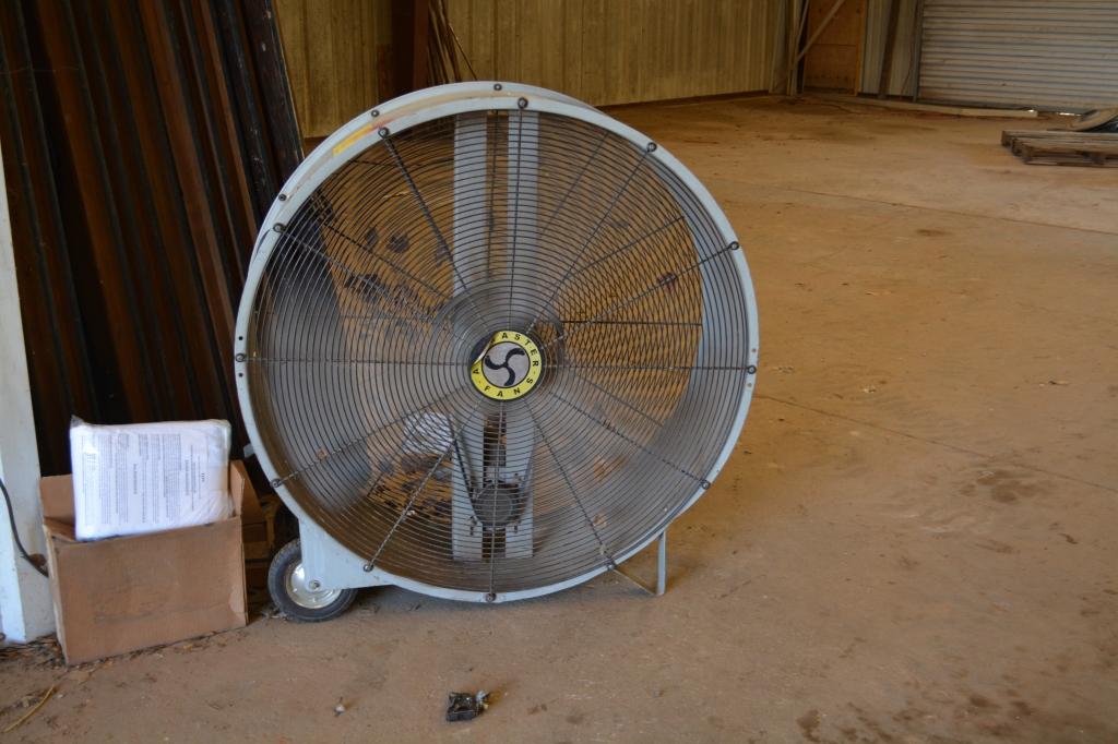 SHOP FAN