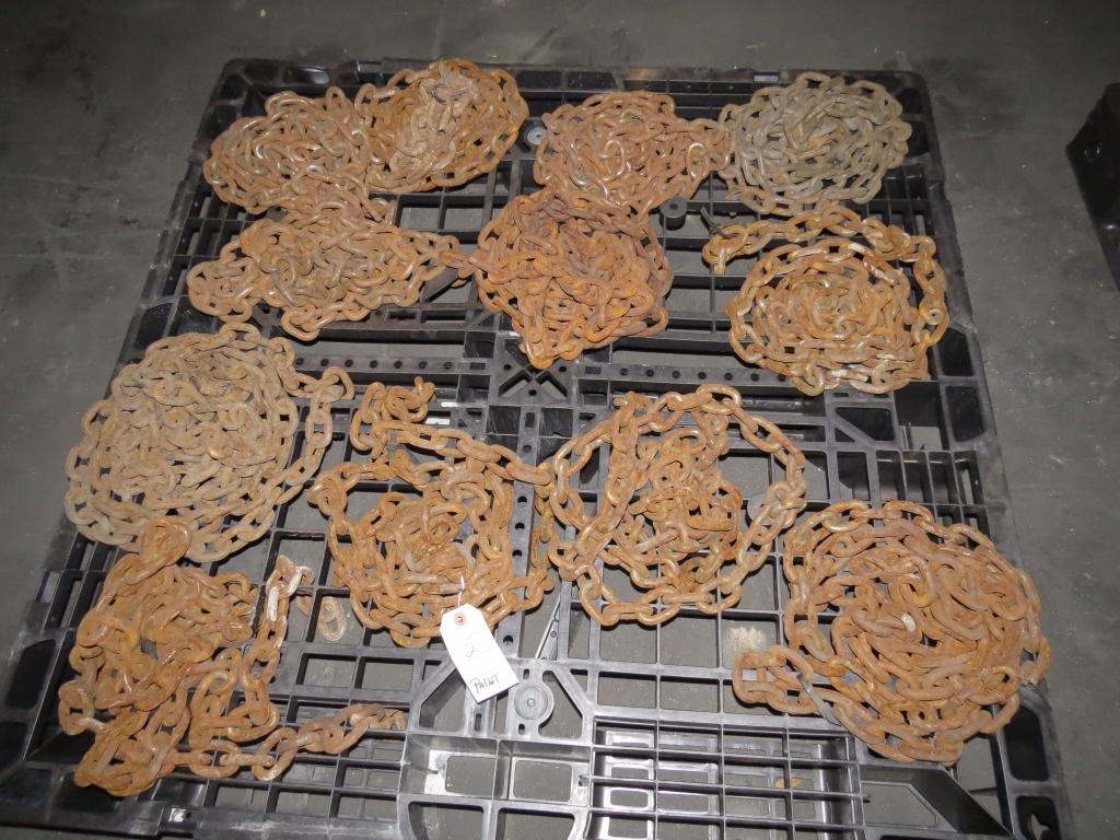 Lot of 12 Chains