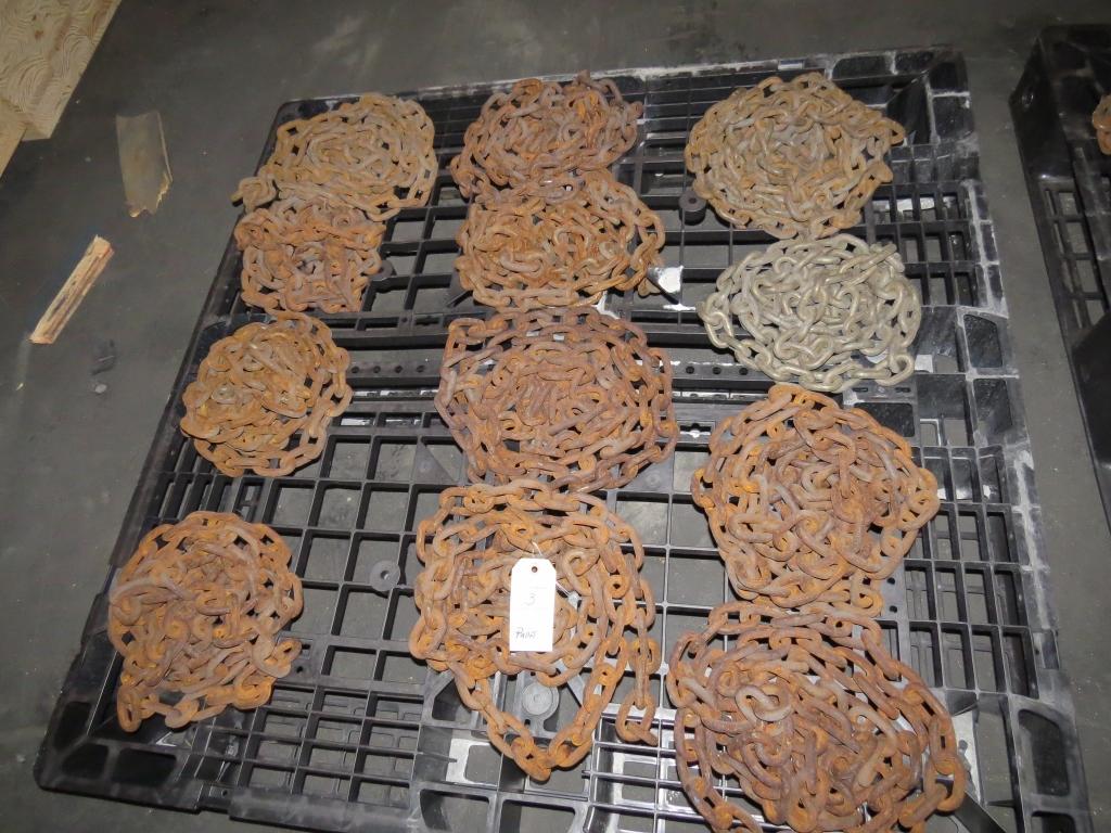 Lot of 12 Chains
