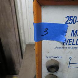 250 Ampere AC/DC Busybee Welding Machine