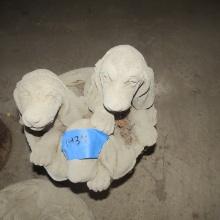 Concrete Statue- Basket with Dogs