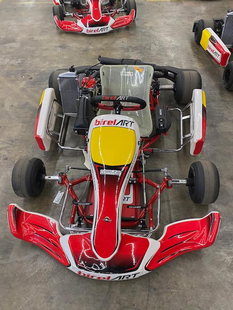 Birel ART RY30 S9 Race Series Go Kart