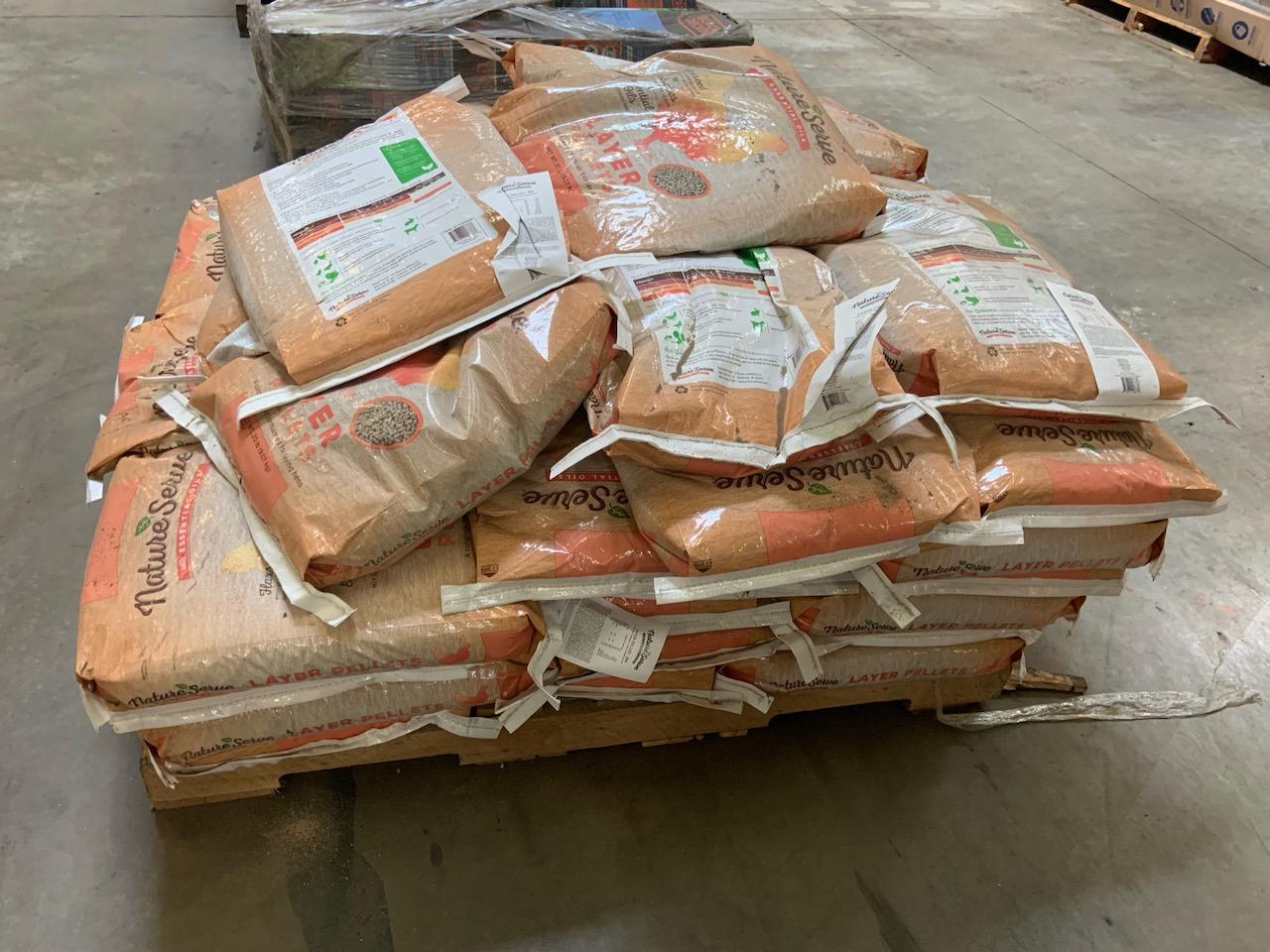 Lot of Chicken feed