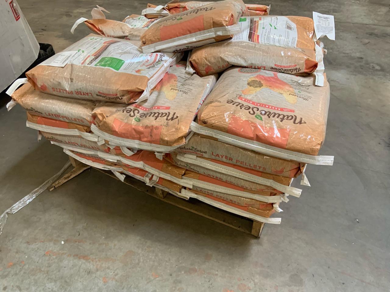 Lot of Chicken feed