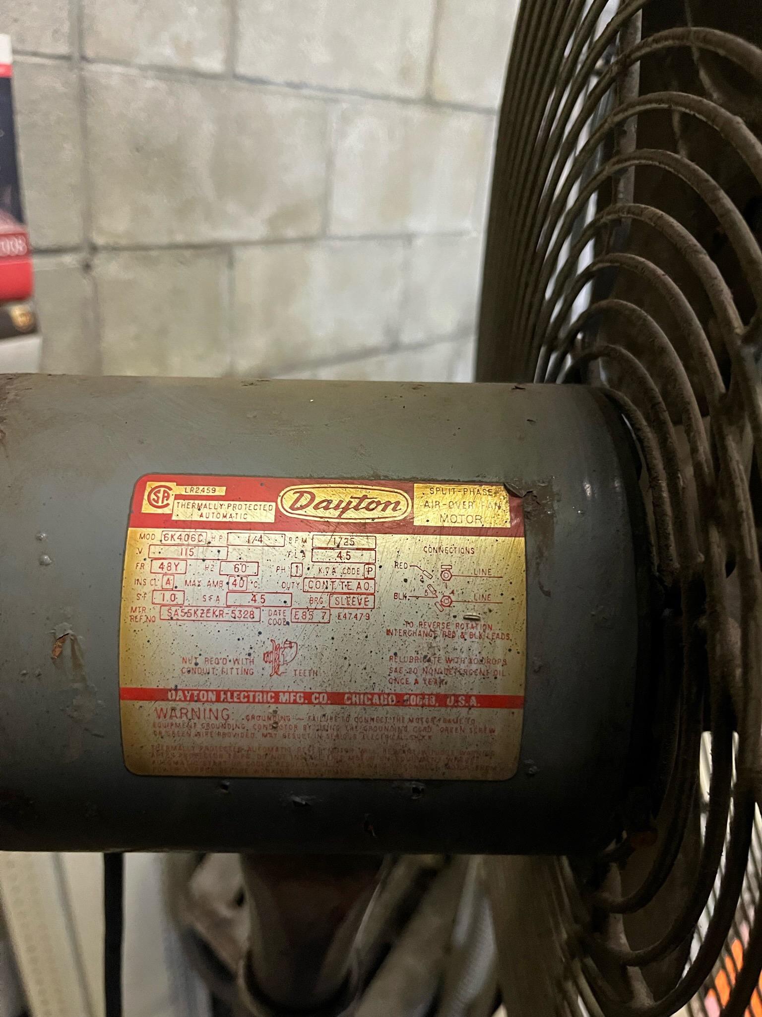 Fan