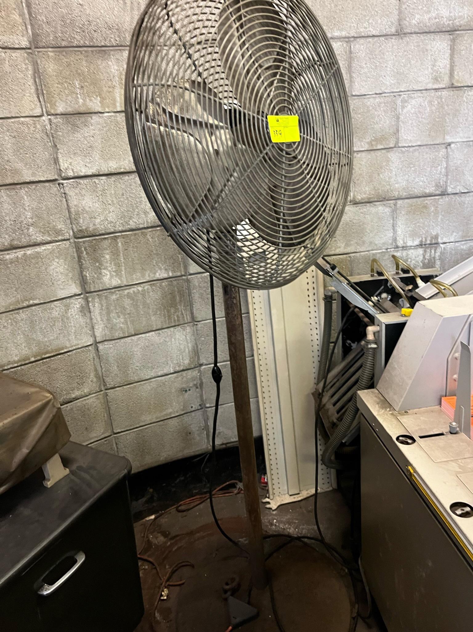 Fan