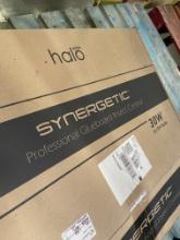 Synergentic Professional Glueboard Insect Control