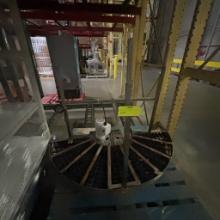 Mettler Toledo conveyor