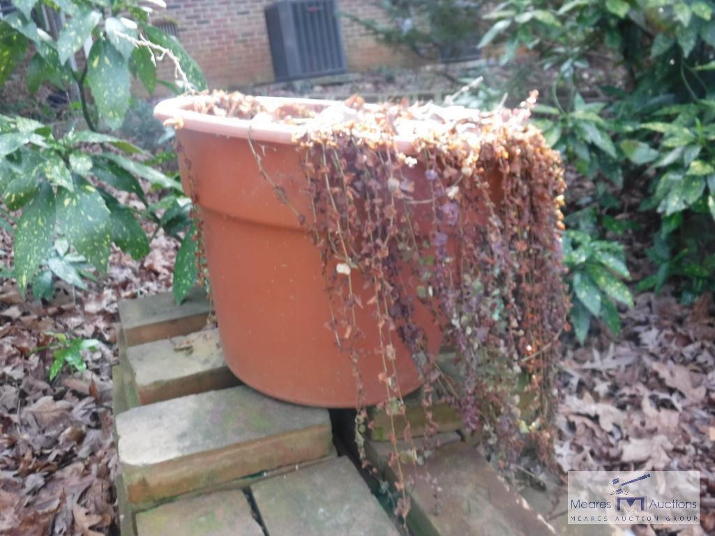 Mixed lot of outdoor planting pots